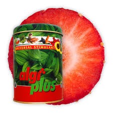 ALGİ PLUS DENİZ YOSUNU GÜBRESİ