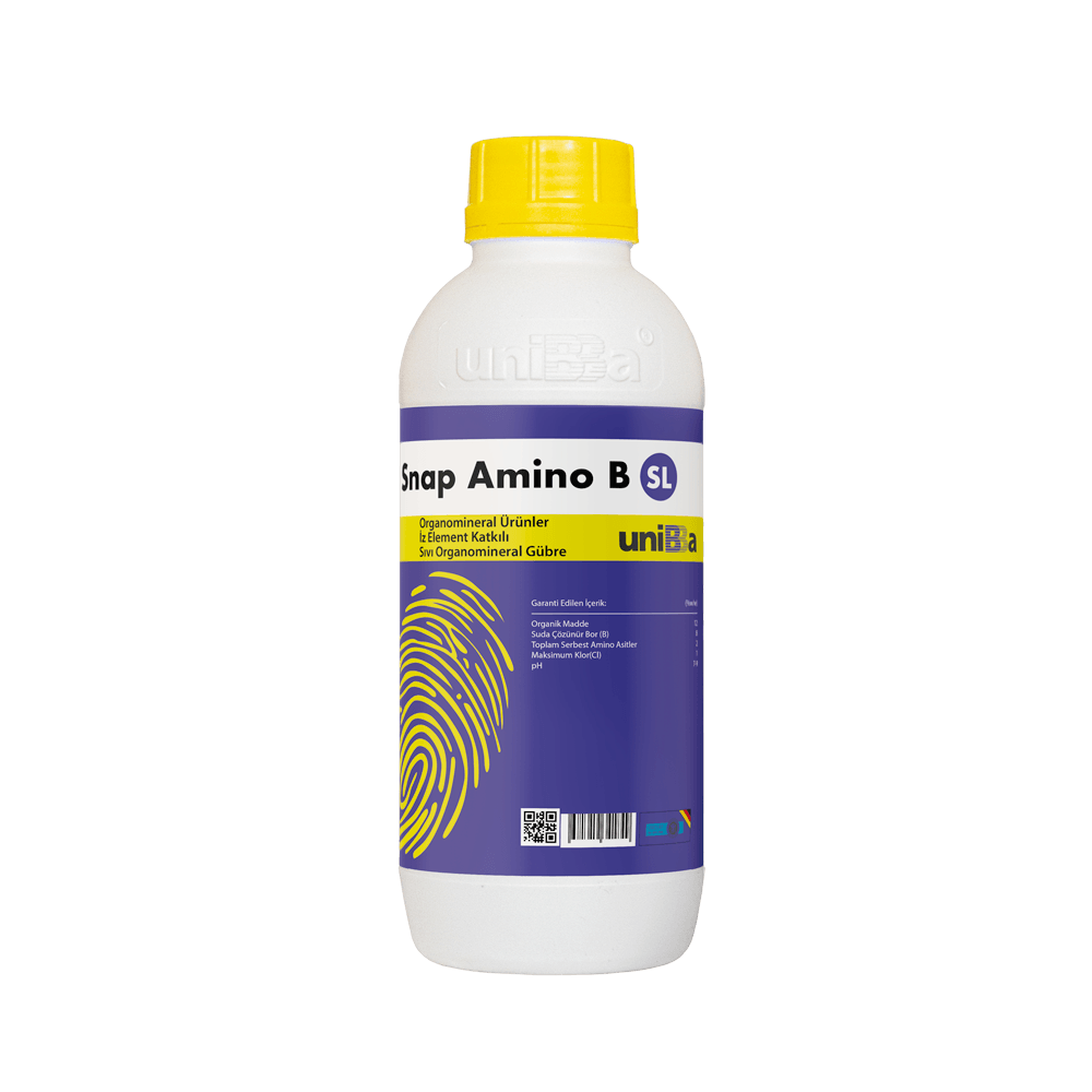 Snap Amino B