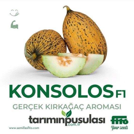 Konsolos F1 Kavun Tohumu