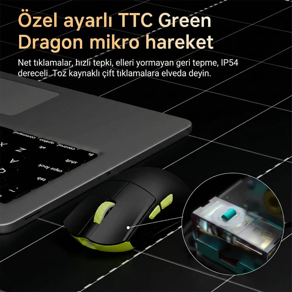 TTC QingLong Switches