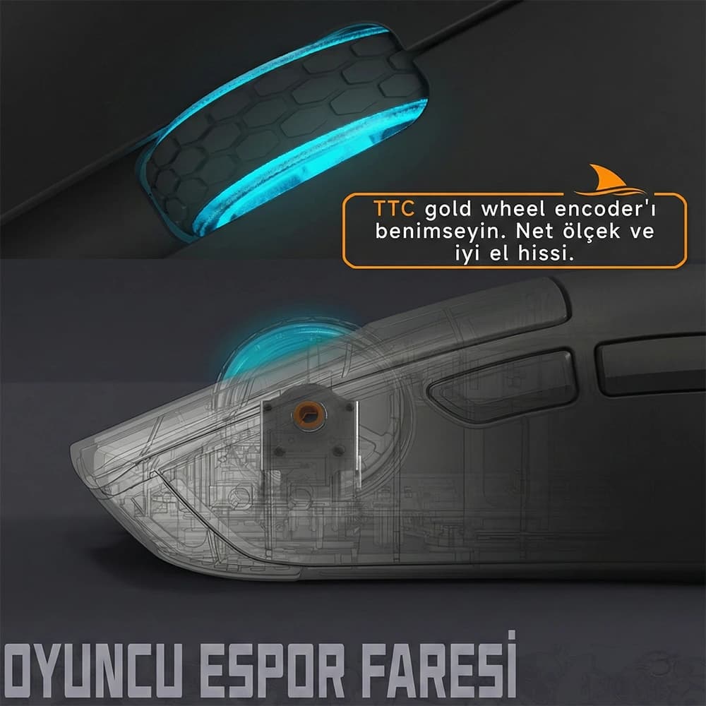 Switches and Battery