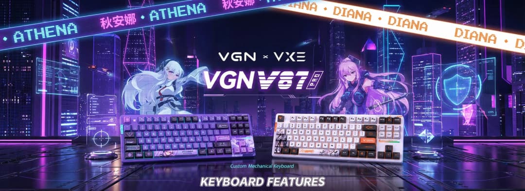VGN x VXE