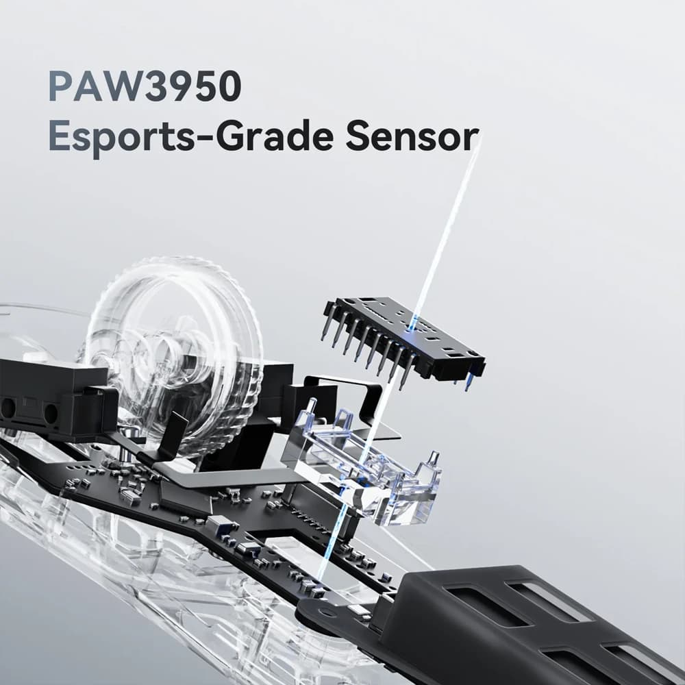 8K Color Screen Receiver