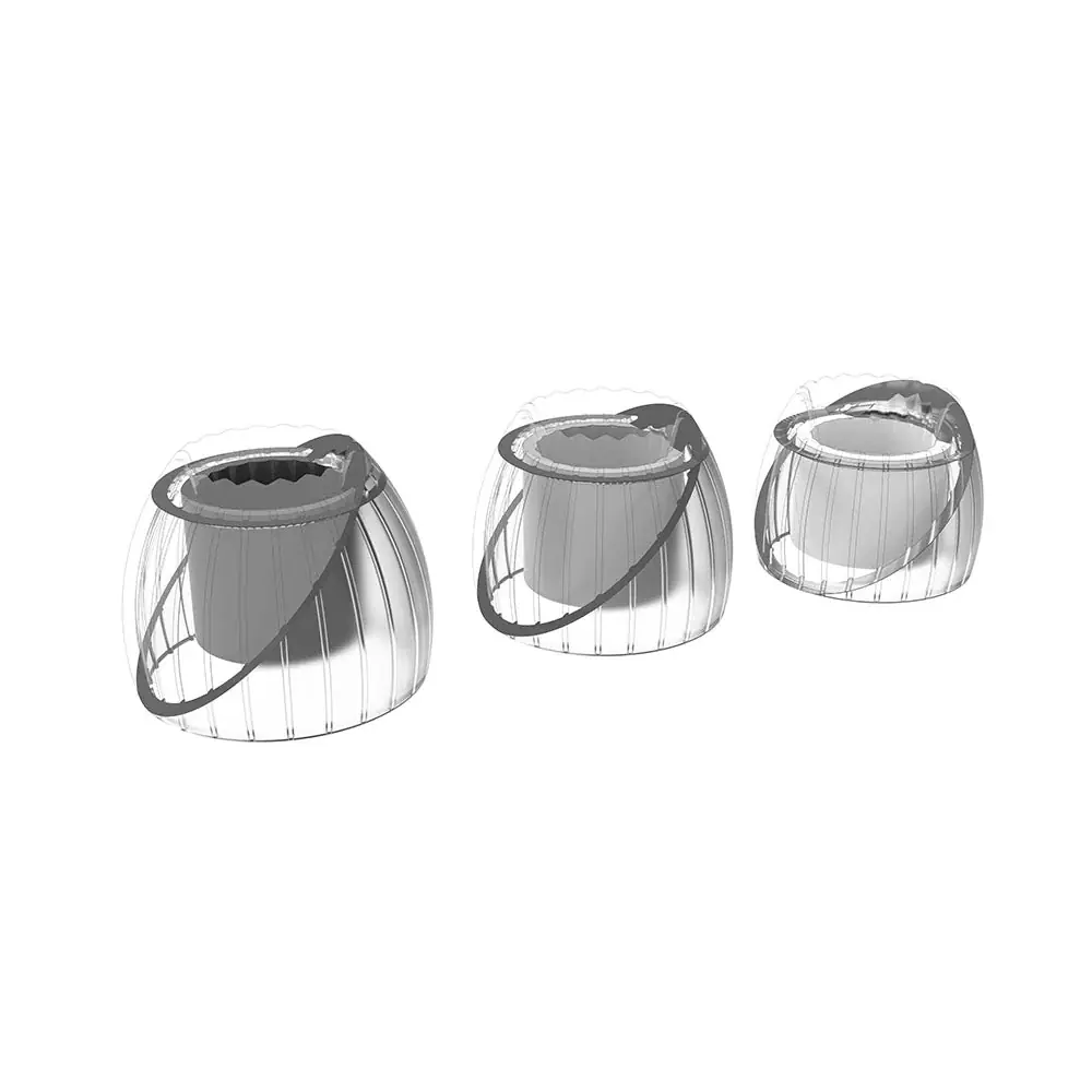 Radial Double Support Structure and Seal