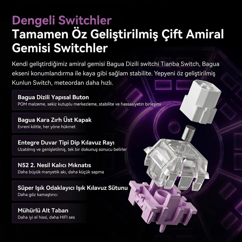 VGN Flagship Magnetic Switch Options