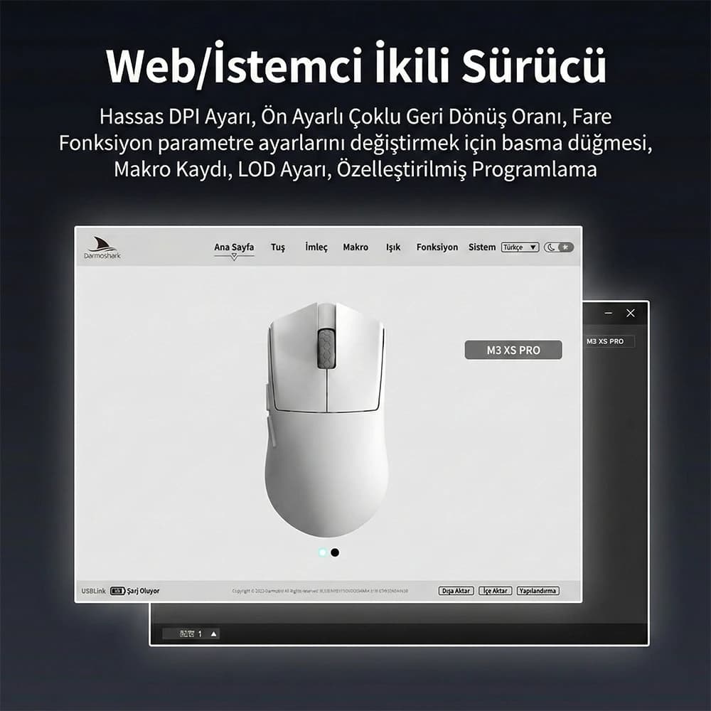 Web Driver and Switches