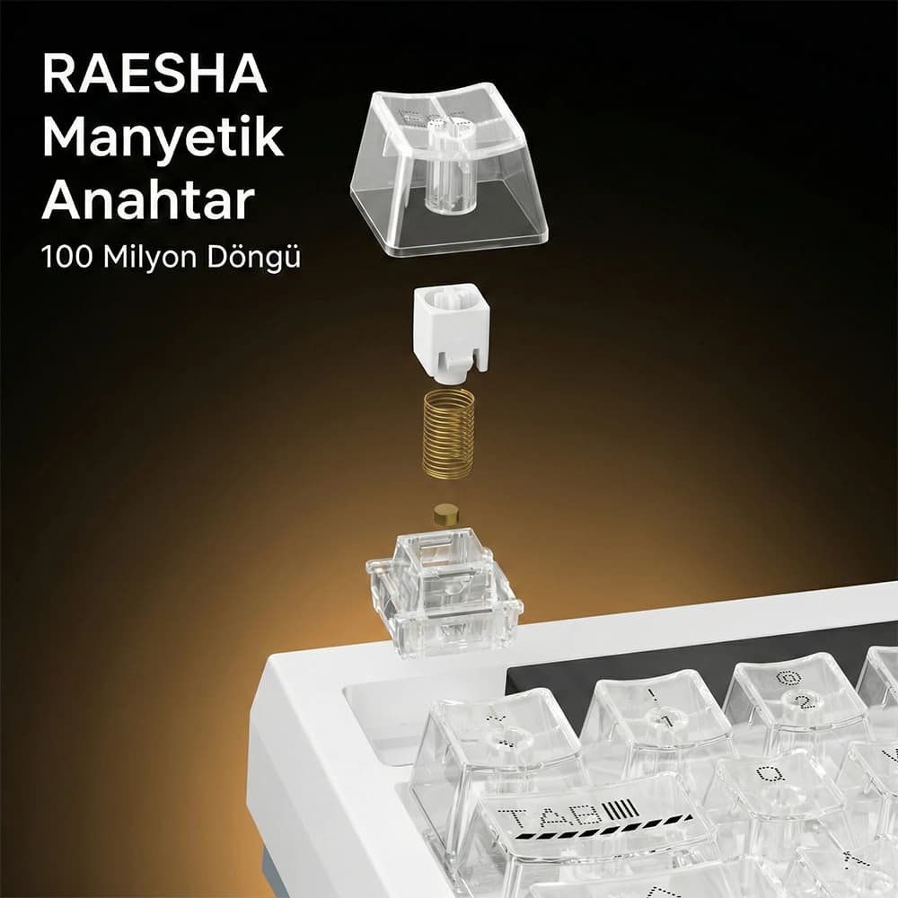 RAESHA Magnetic Switches