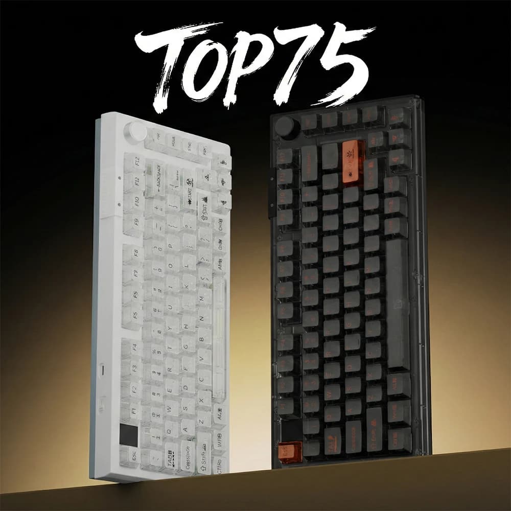 Darmoshark TOP75 HE Design