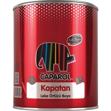Filli Boya Kapatan Leke Örtücü