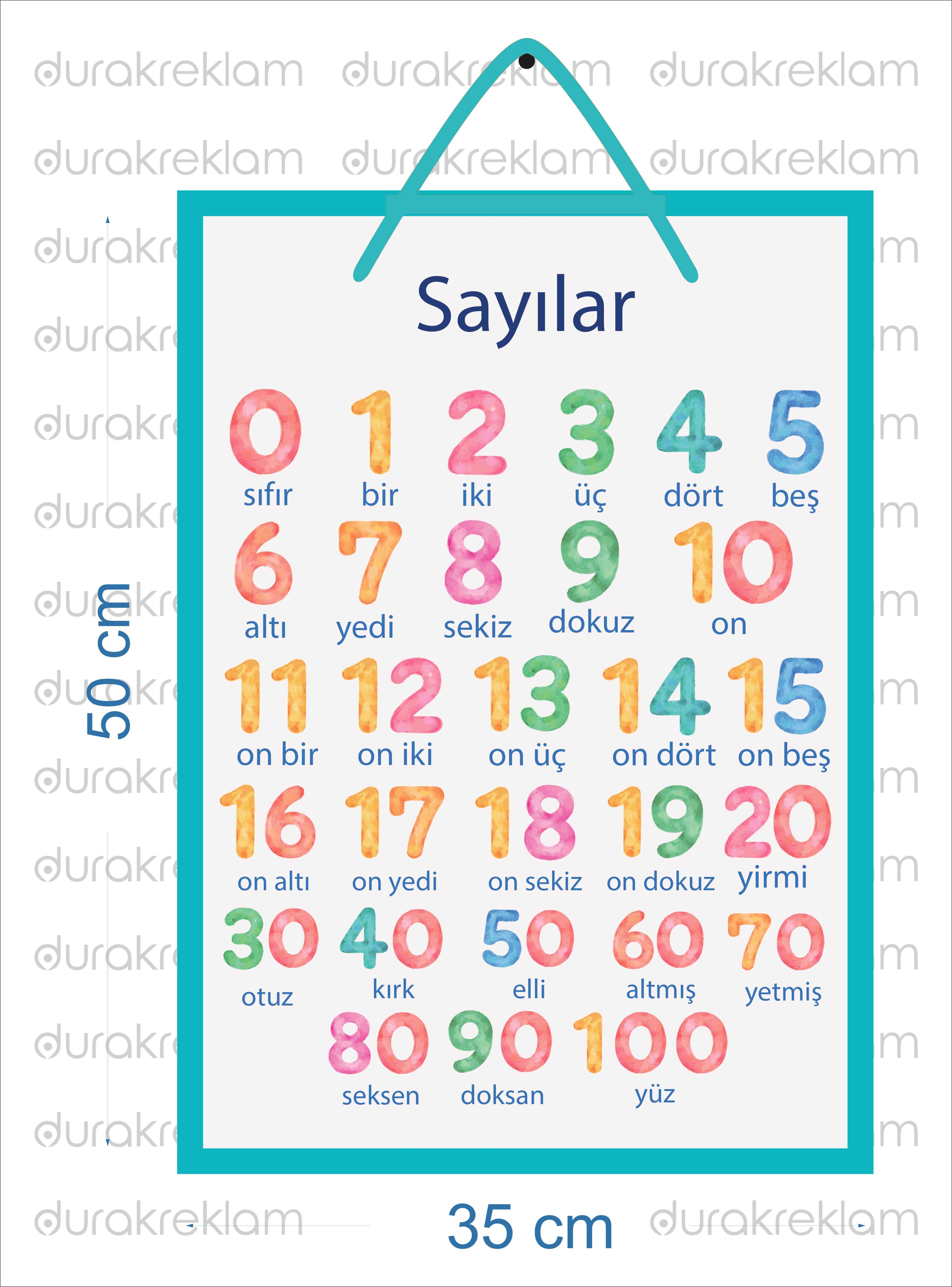 Sayılar Öğretici poster PVC