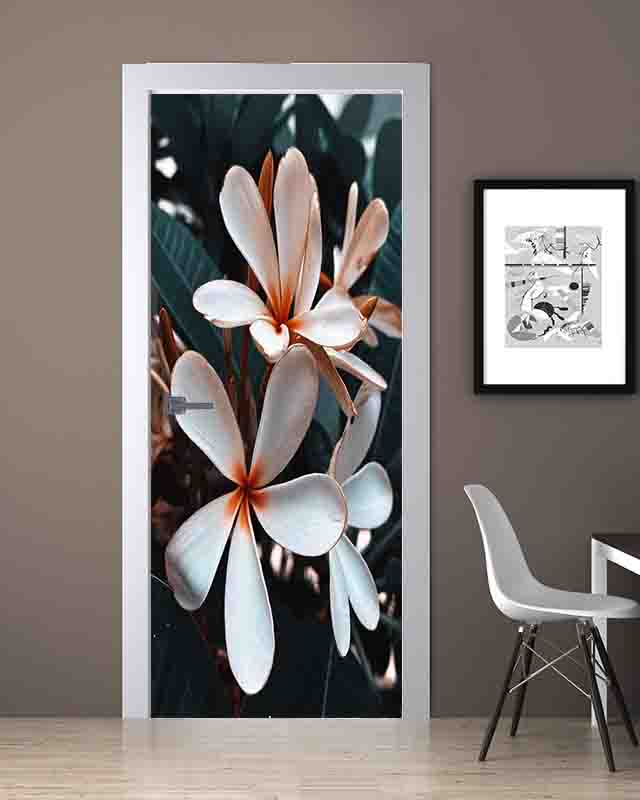 Frangipani Çiçeği Folyo Baskı Kaplama