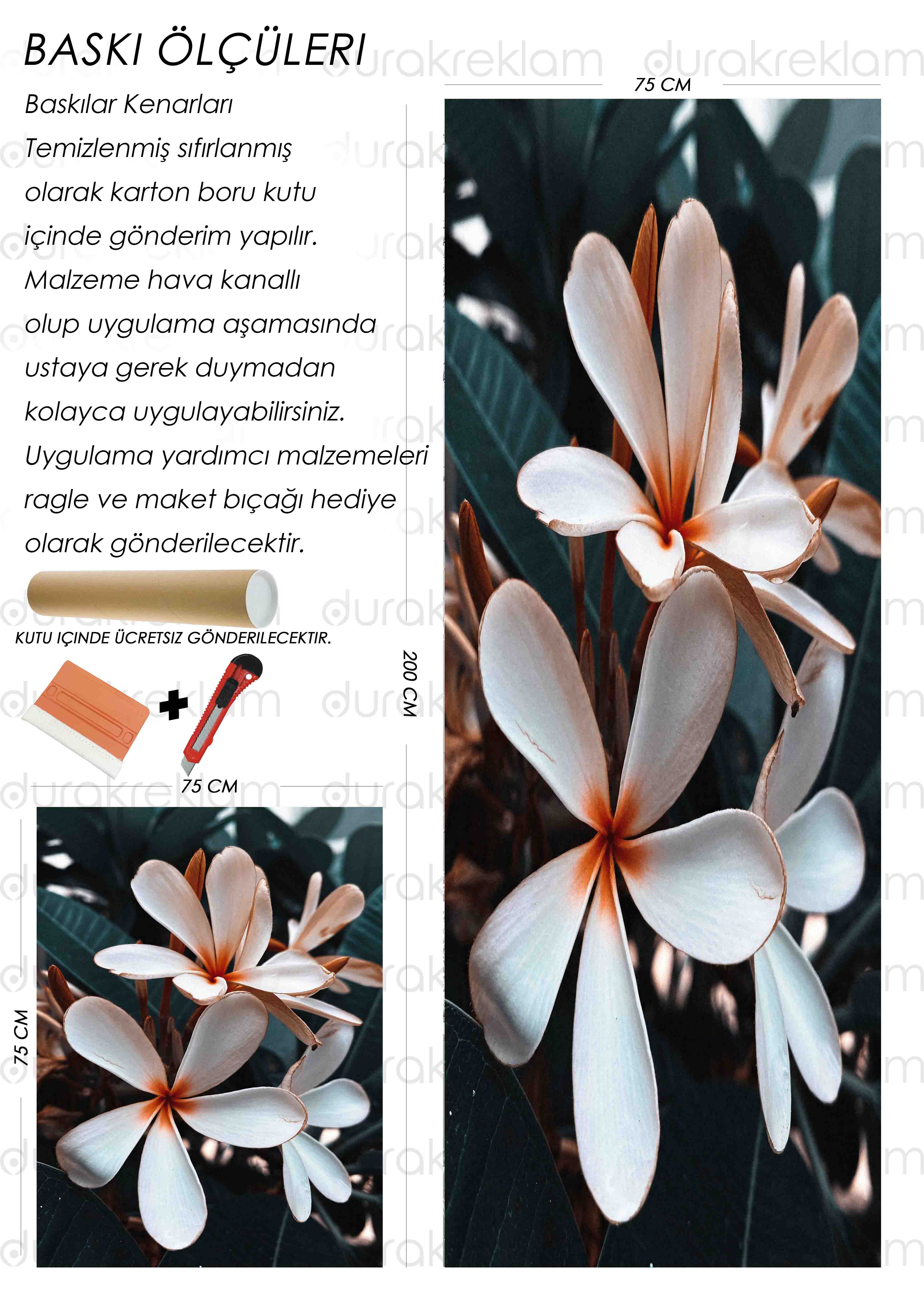 Frangipani Çiçeği Folyo Baskı Kaplama