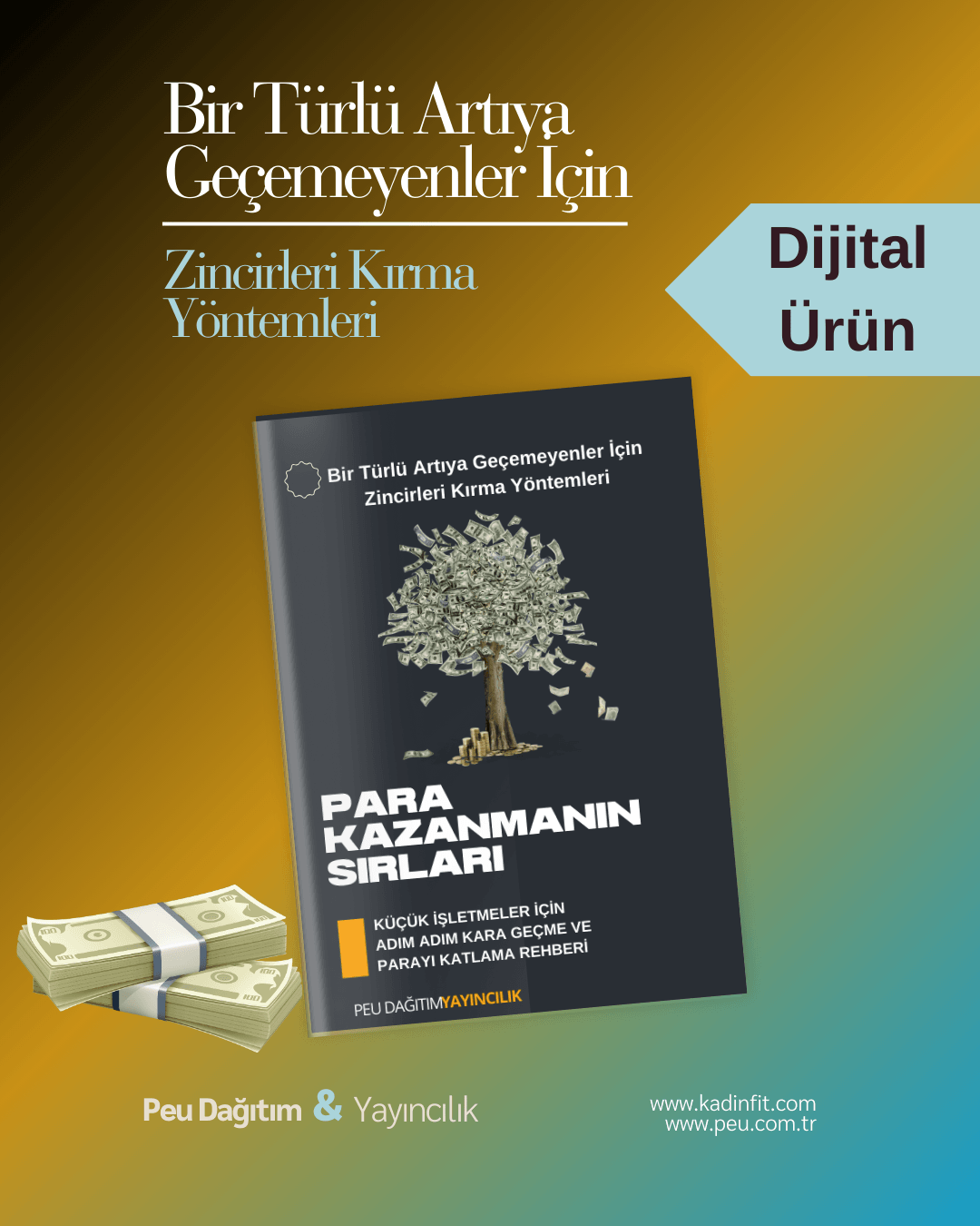 PARA KAZANMANIN SIRLARI-KÜÇÜK İŞLETMELER İÇİN ADIM ADIM KARA GEÇME VE PARAYI KATLAMA REHBERİ