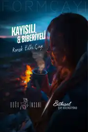 Kayısılı