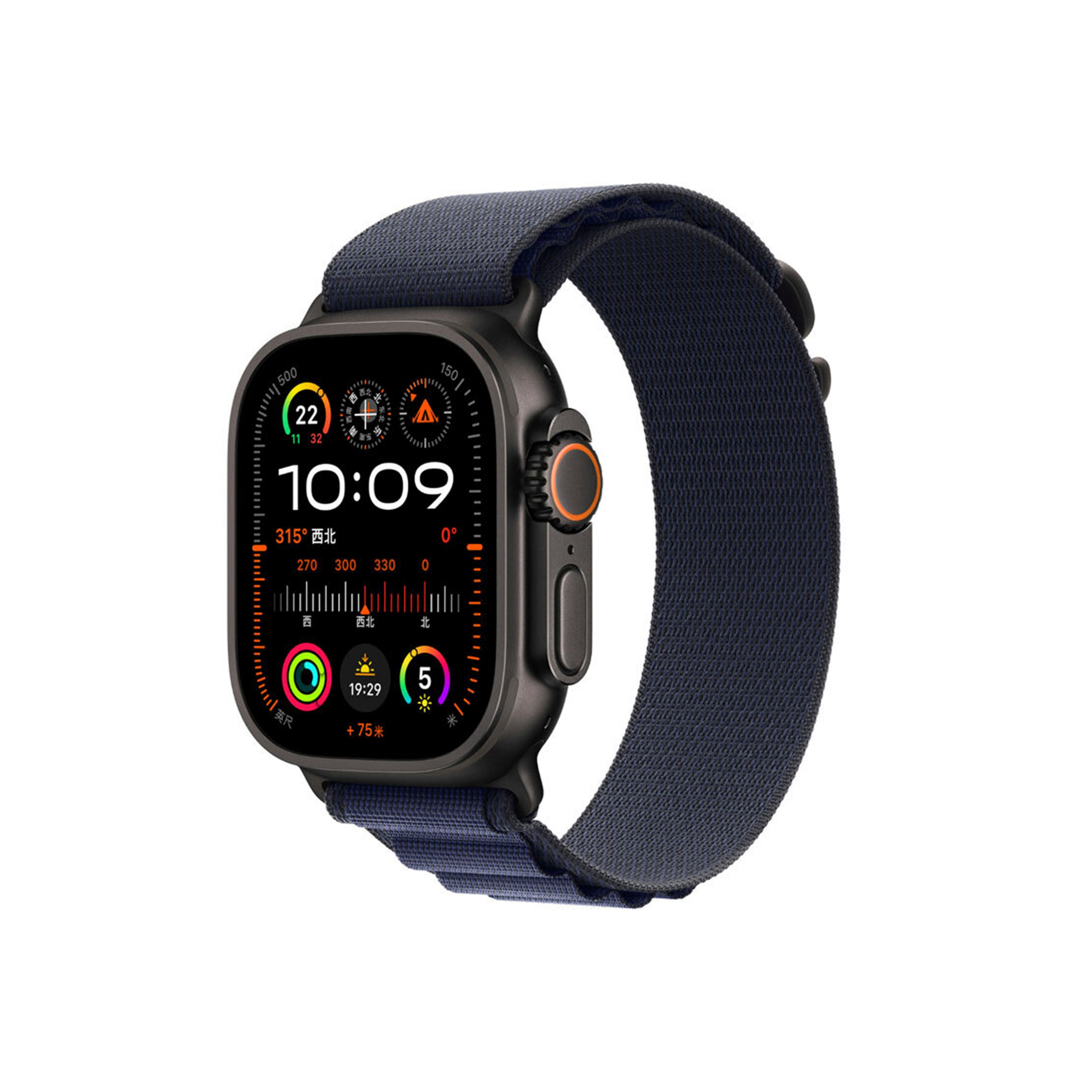 Apple Watch Alpine Band-Black Blue