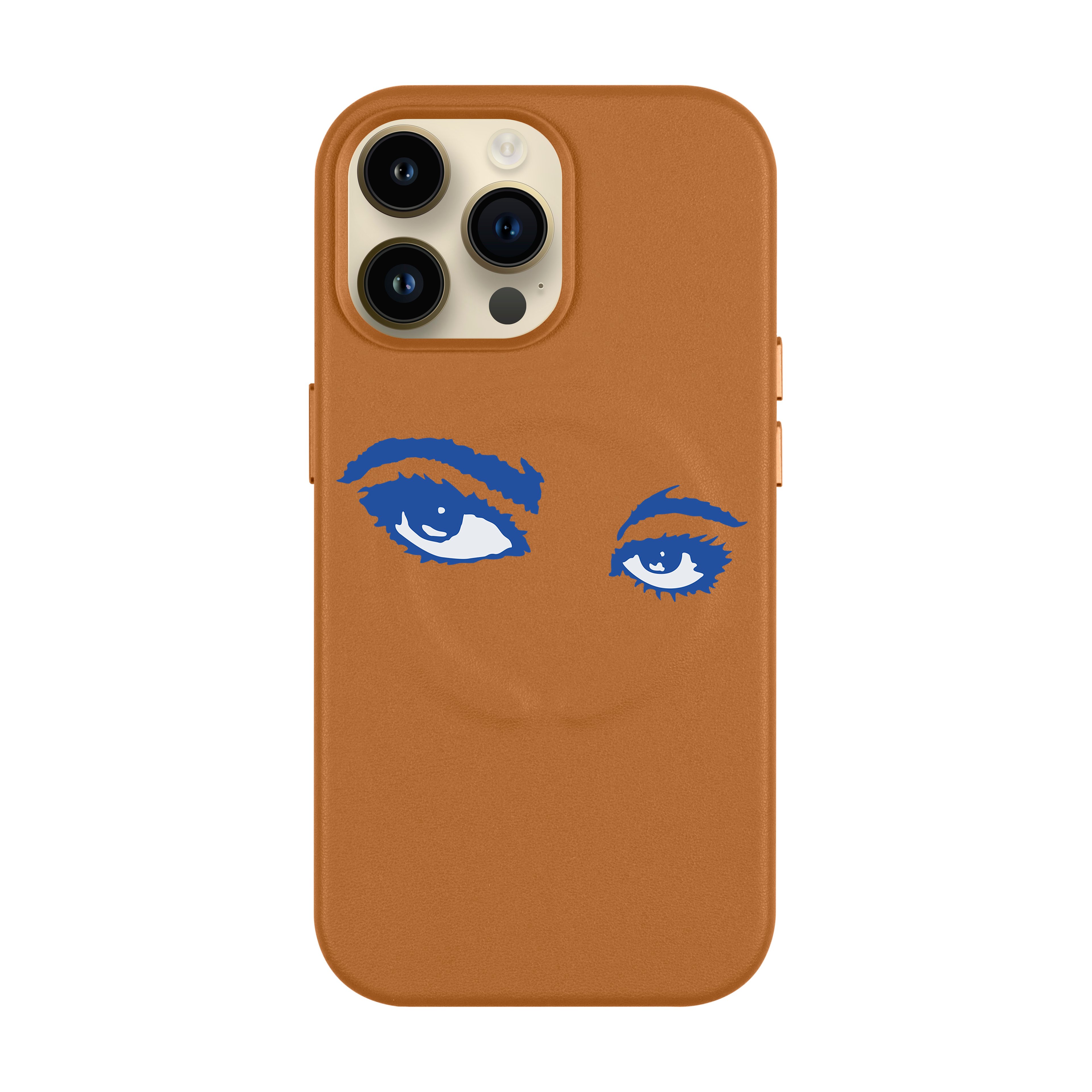 Birds Eye View - iPhone Leather Case with MagSafe