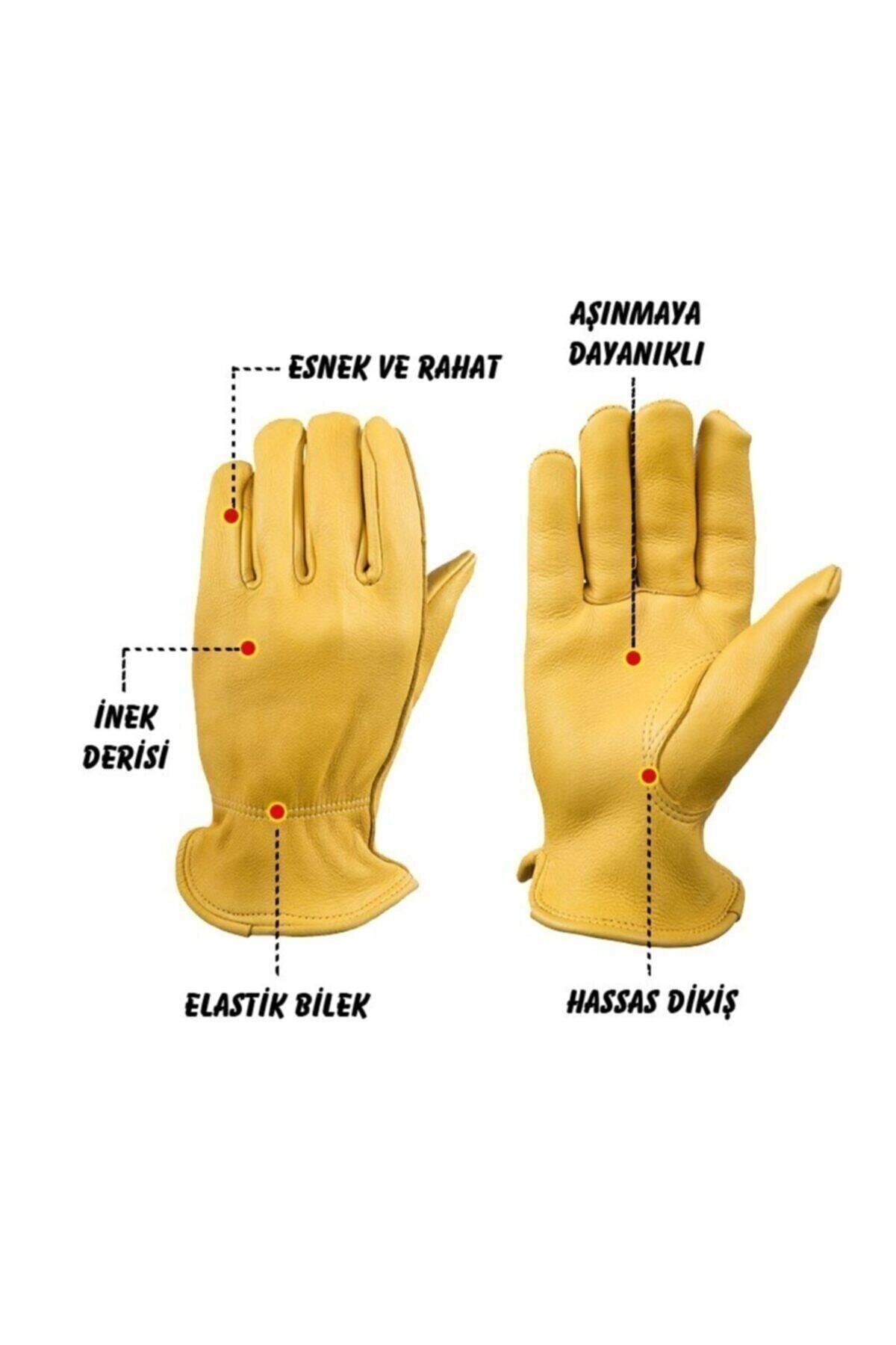 Campout Dana Derisi Eldiven Large