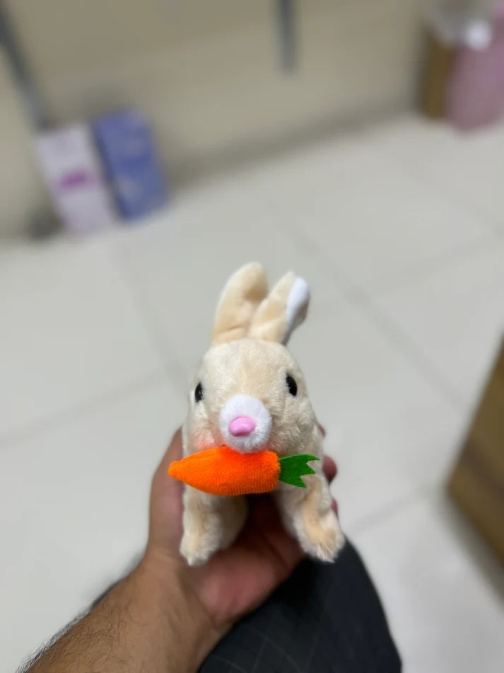 “Sevimli Peluş Tavşan 🐇 | Pilli, Sesli, Işıklı ve Zıplayan Oyuncak” (Kapıda Ödeme Mevcut)