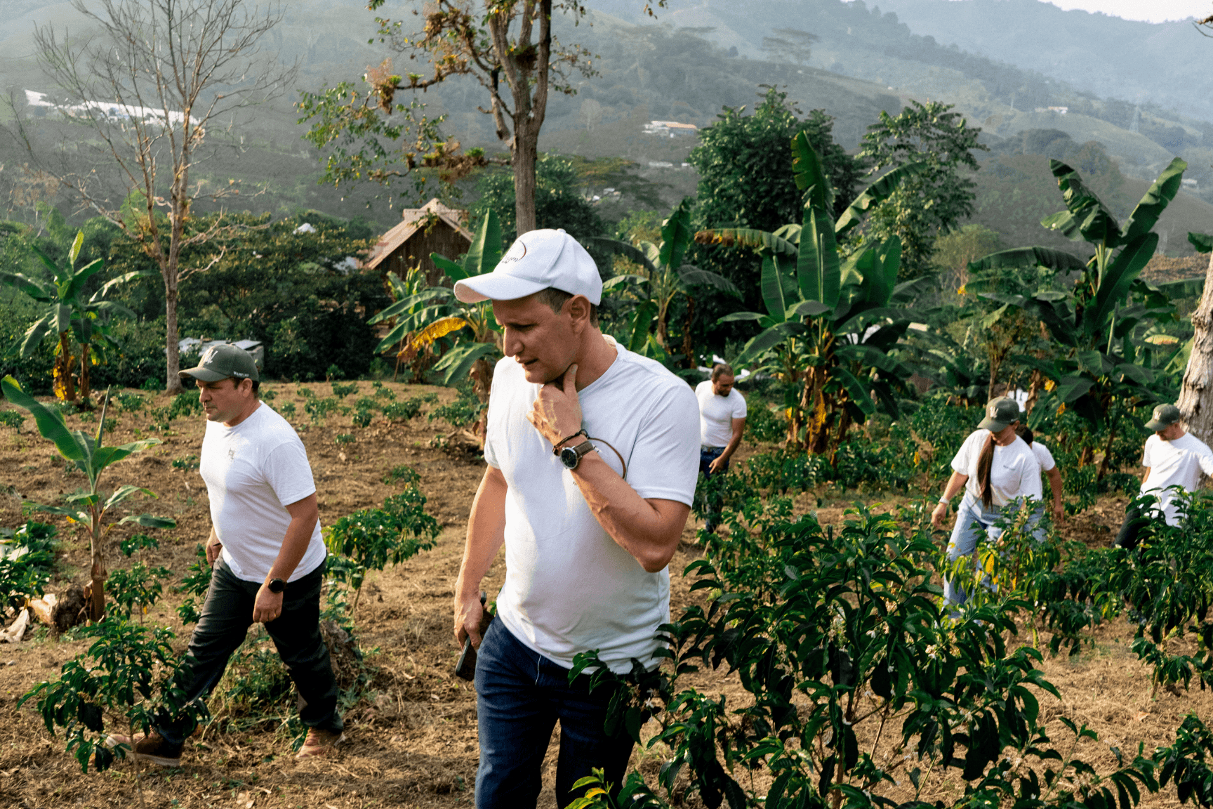 Colombia Finca La Dinastía Geisha Lot 4 