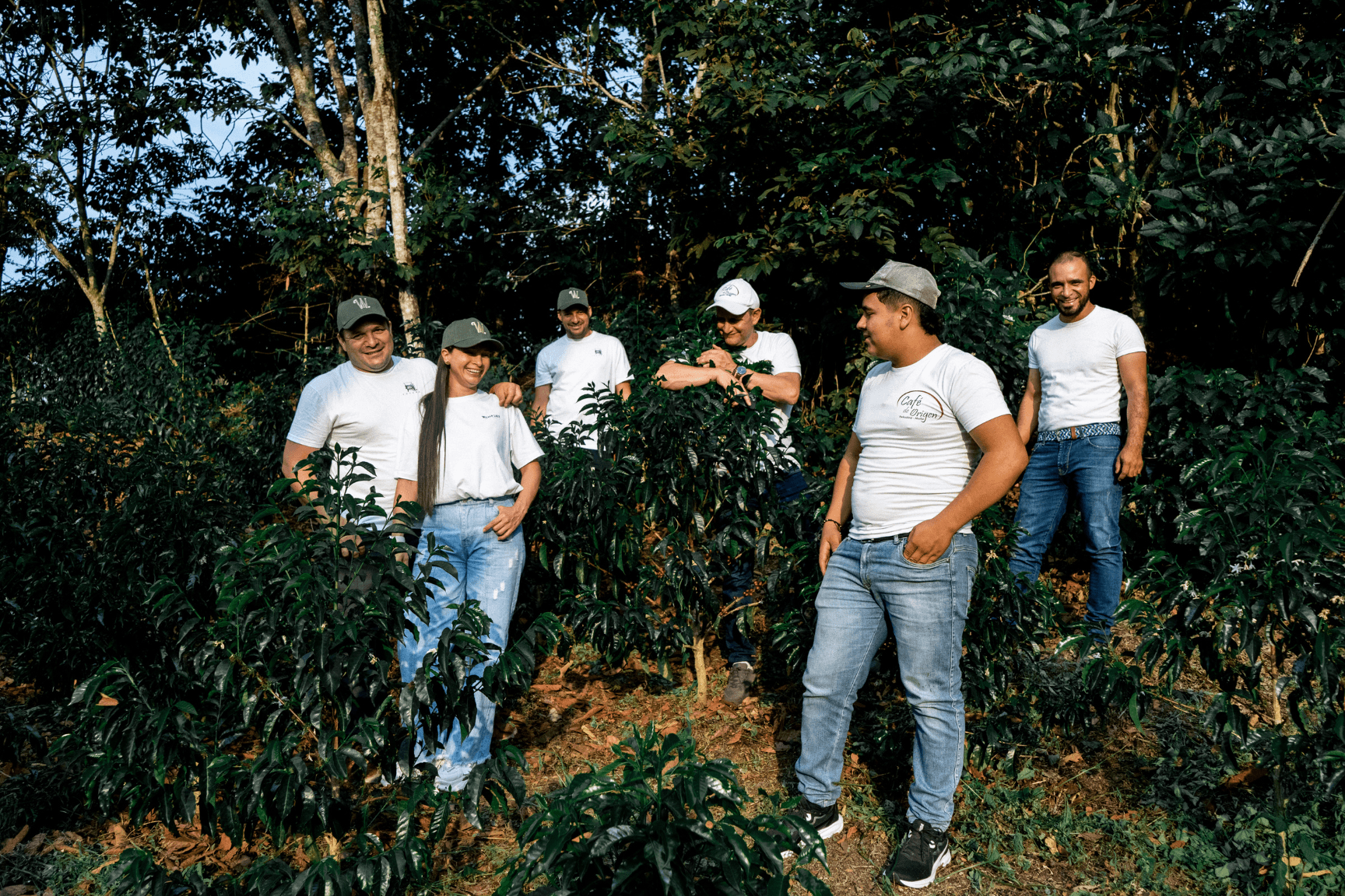 Colombia Finca La Dinastía Geisha Lot 4 