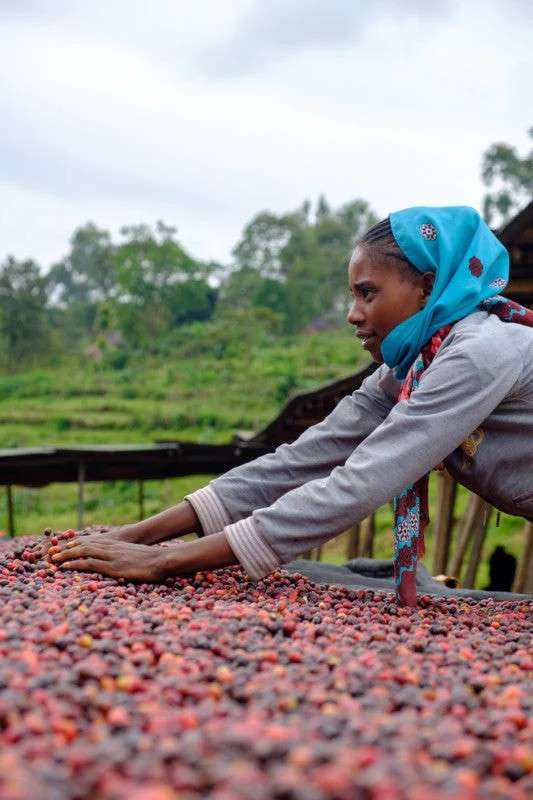 Ethiopia Keramo 