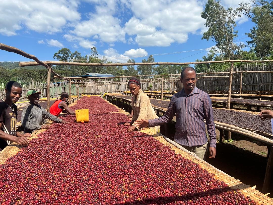 Ethiopia Kochere