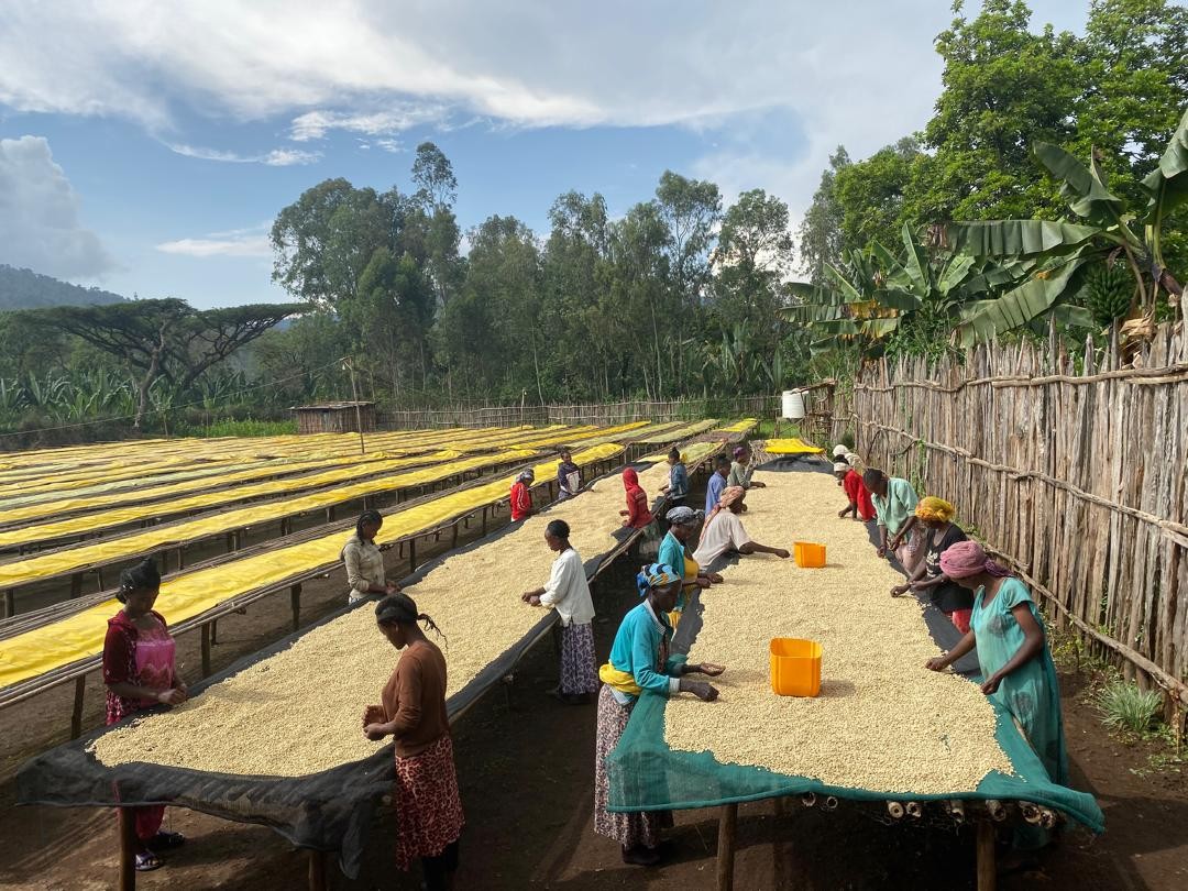 Ethiopia Kochere