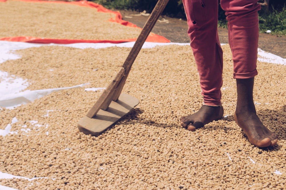Rwanda Kabyiniro Red Bourbon