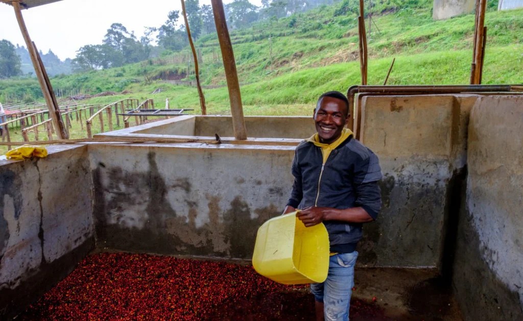 Ethiopia Keramo 