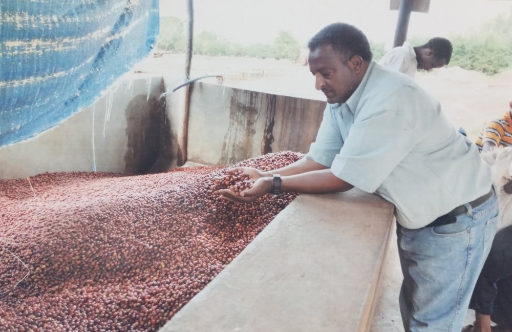 Ethiopia Limu