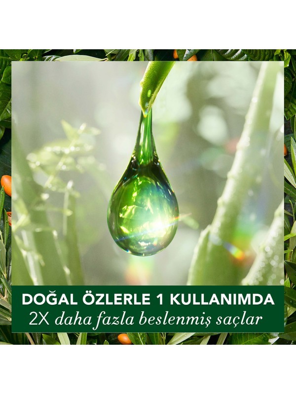 Herbal ess.Vegan Şampuan Onarıcı Argan Yağı 400 ml (1786)