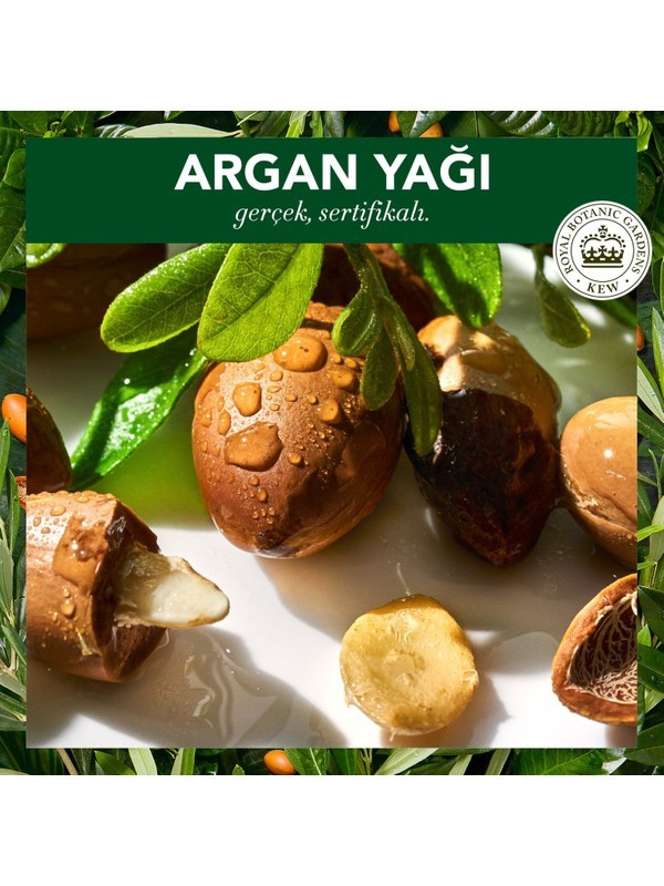 Herbal ess.Vegan Şampuan Onarıcı Argan Yağı 400 ml (1786)