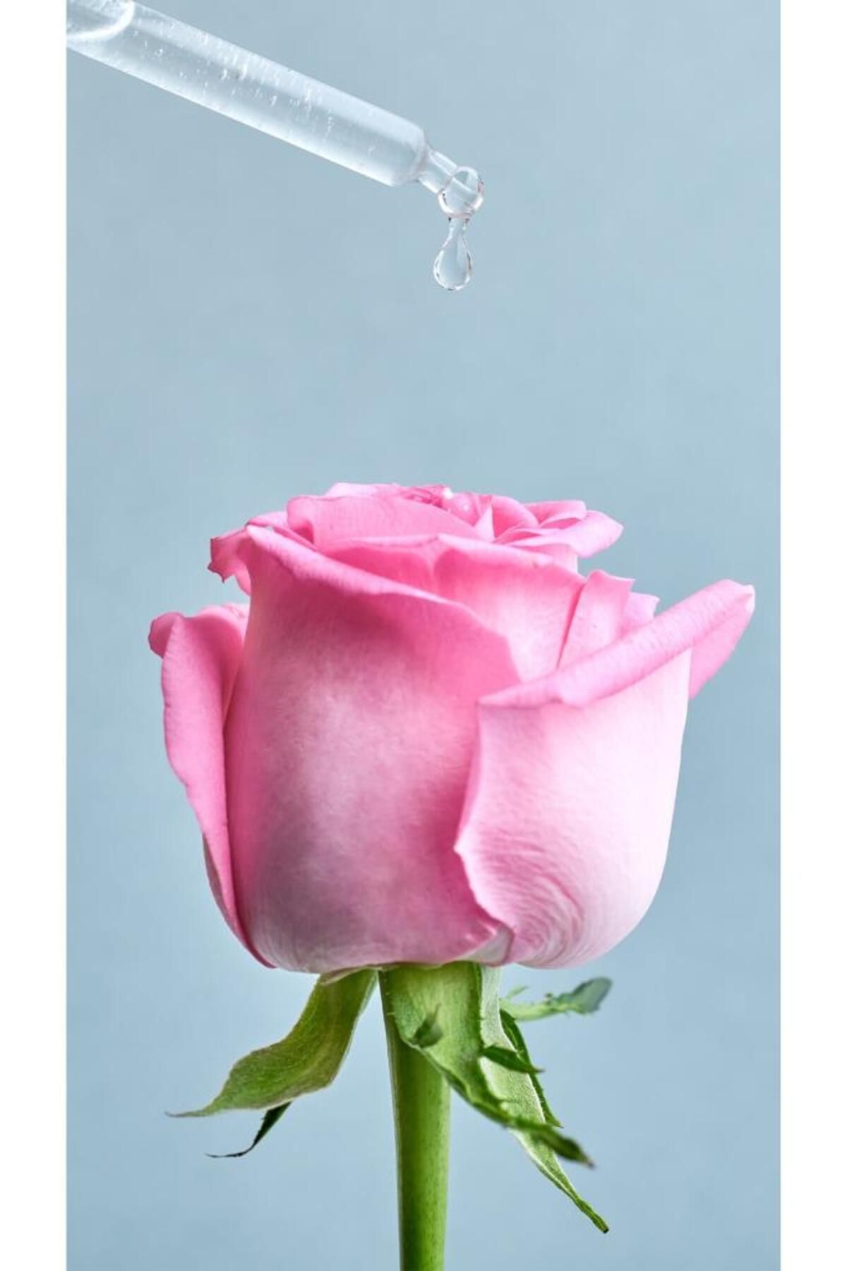 NİV.YÜZ YIK.KÖPÜĞÜ ROSE 150ML (0398)