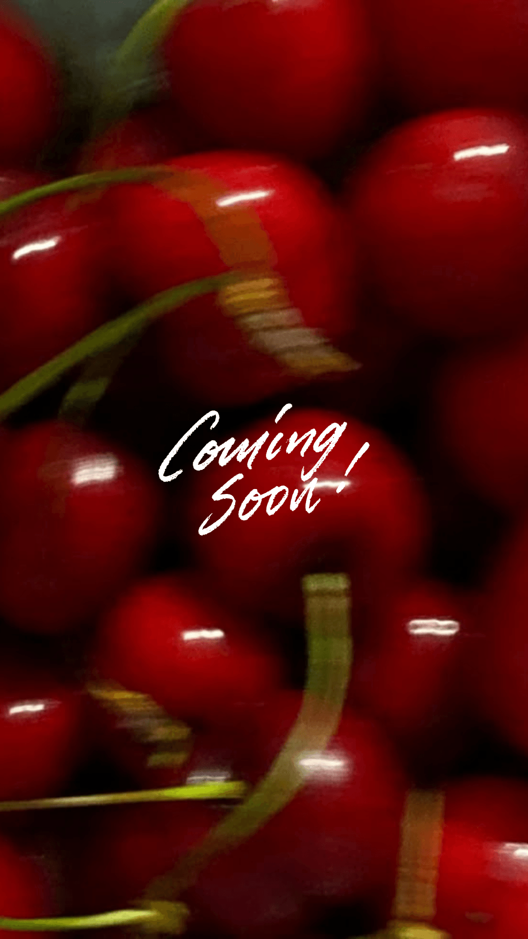 Backstage Top - Bordo