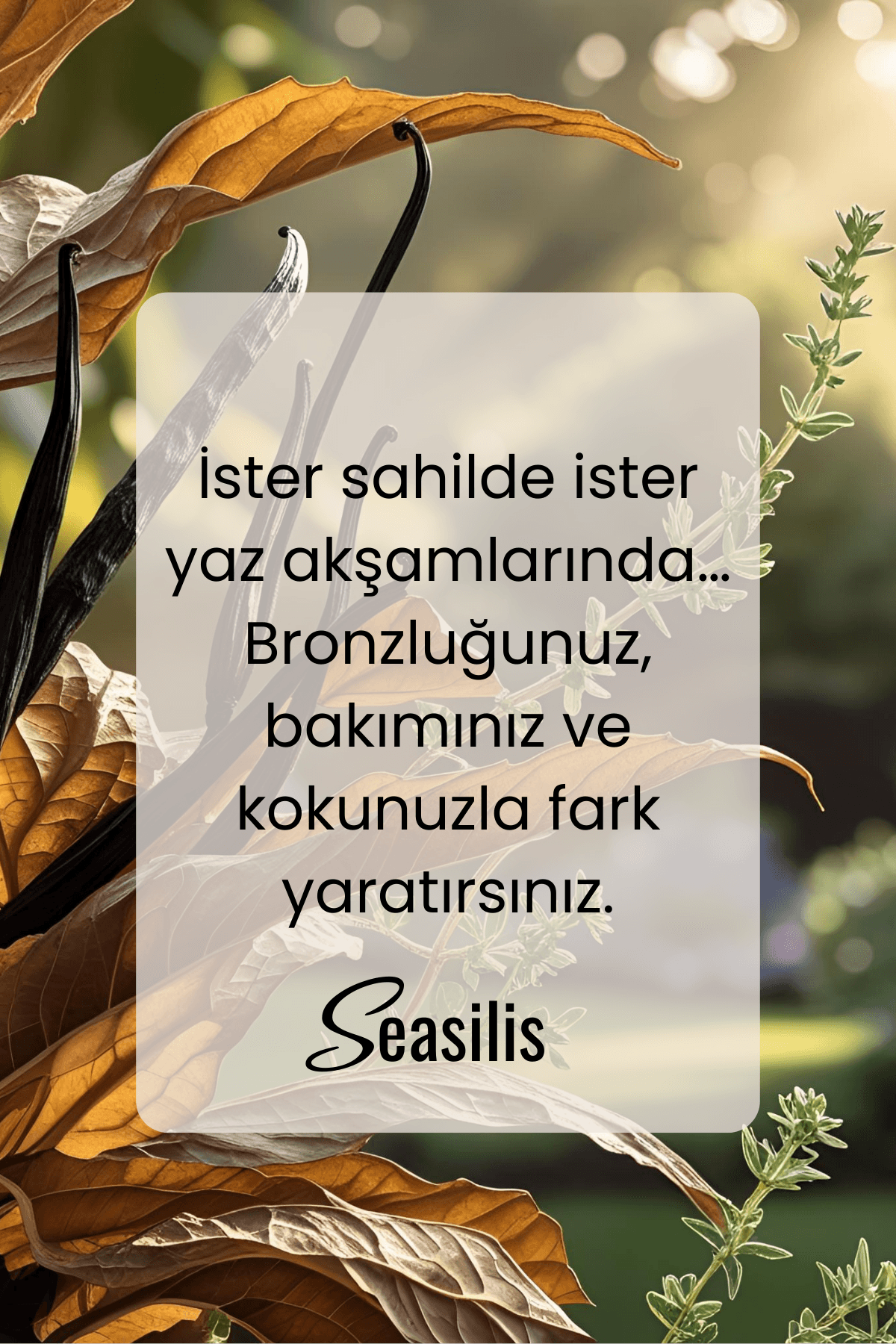Seasilis Ocean Noir Body Oil / Bronzlaştırıcı Yağ - 100 ml