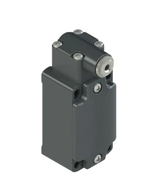 FD-538-Position switch for rotating levers