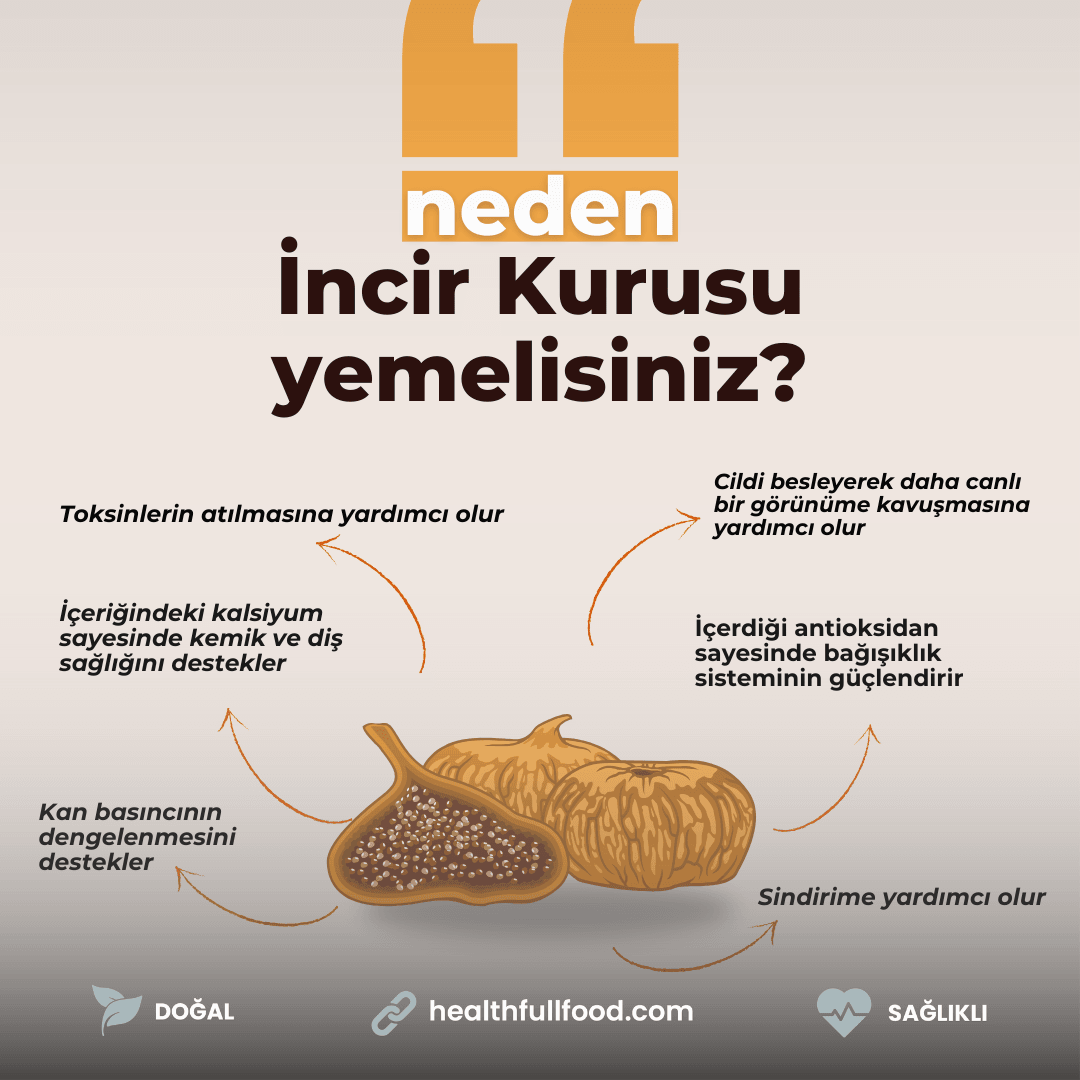 Neden İncir Kurusu Yemelisiniz? Sağlık Yararları ve Besin İçeriği

