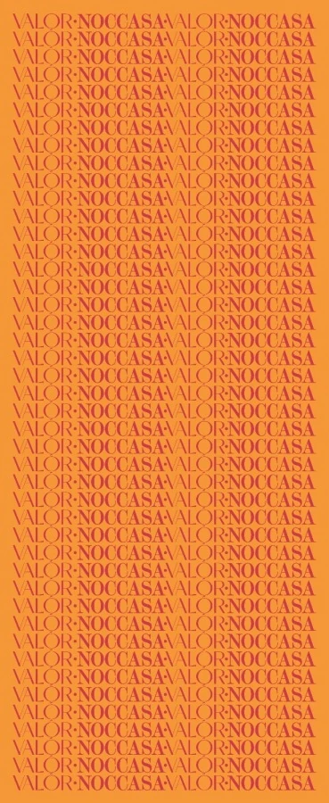 Monogram Desen Şal / Orange