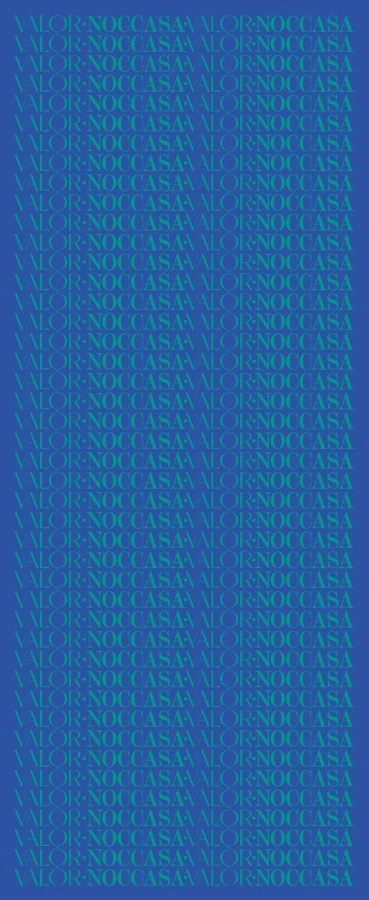 Monogram Desen Şal / Blue