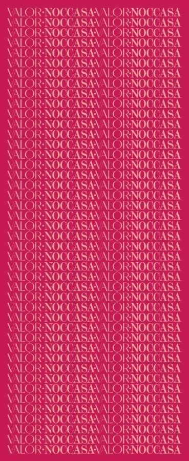 Monogram Desen Şal / Thulian Pink