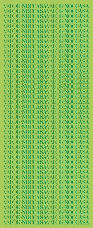 Monogram Desen Şal /Kelly Green