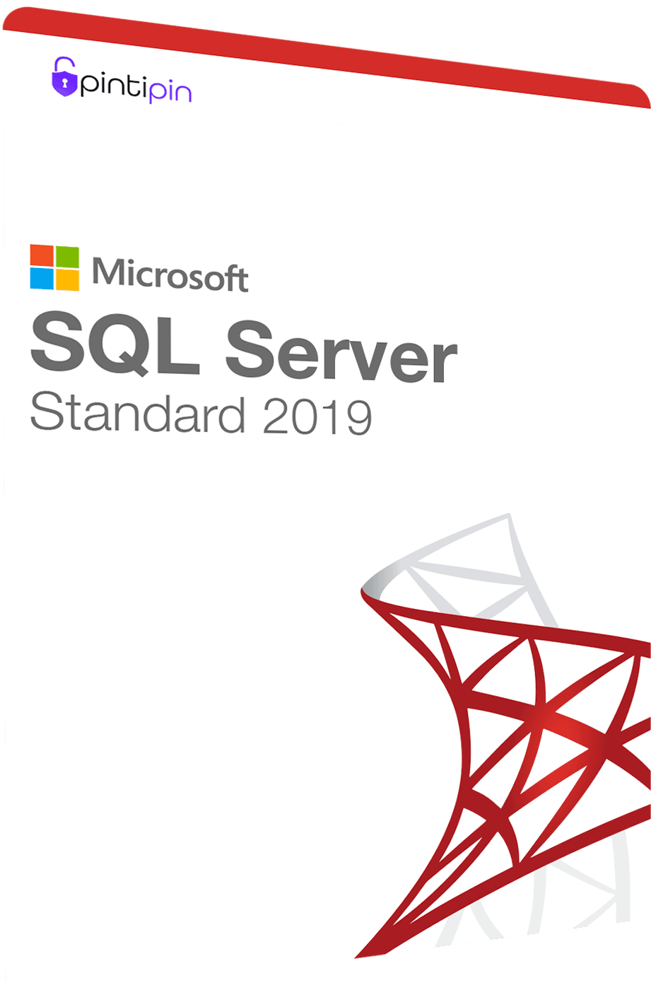 SQL Server 2019 Standard Lisans