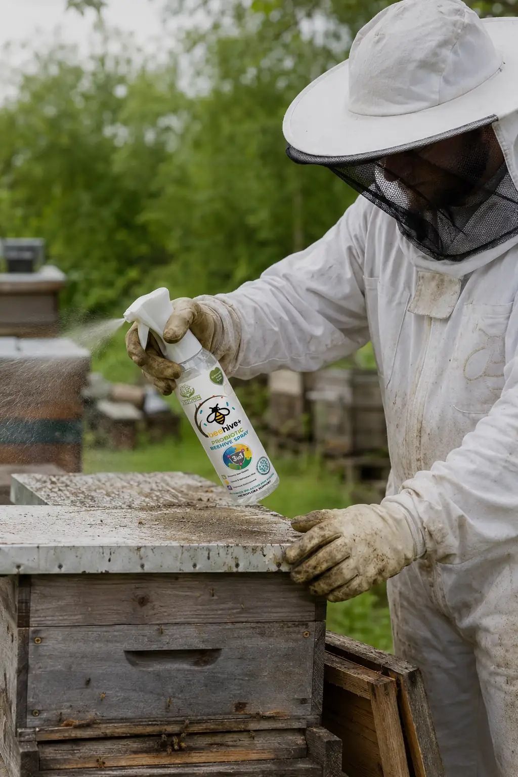 Bees