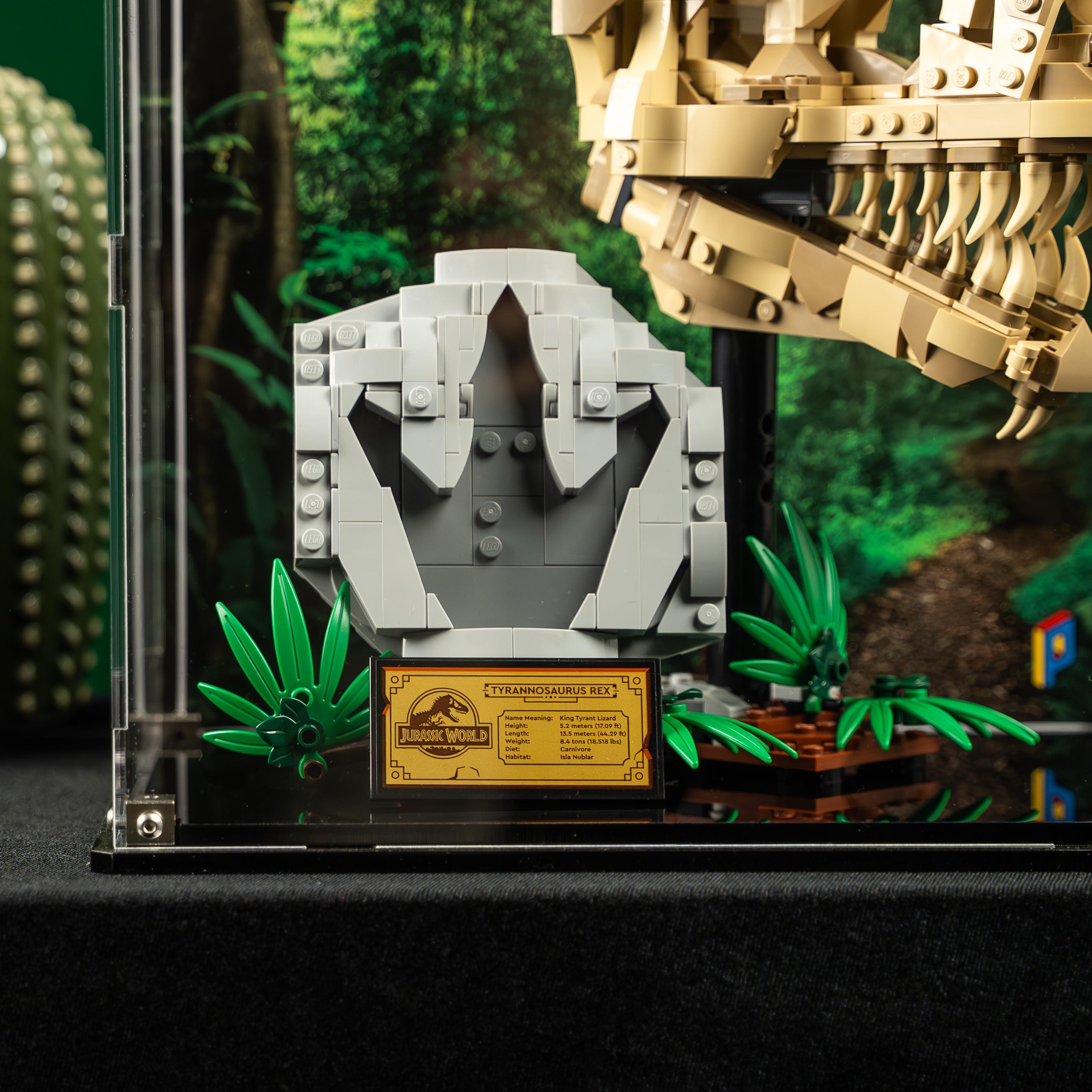 Display Case for LEGO® Jurassic World: Dinosaur Fossils: T. rex Skull (76964)