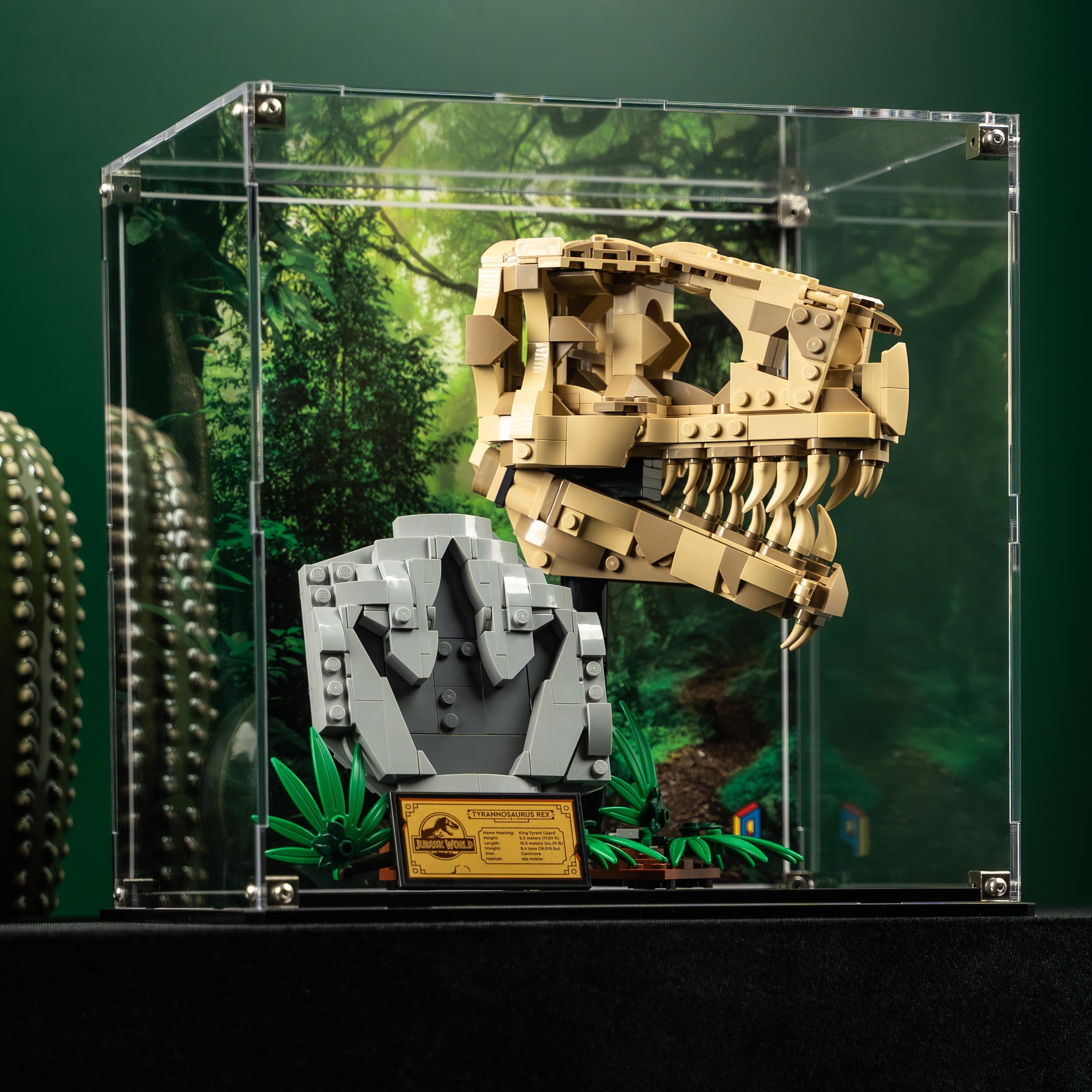 LEGO® Jurassic World: Dinozor Fosilleri: T. rex Kafatası (76964) için Sergileme Vitrini