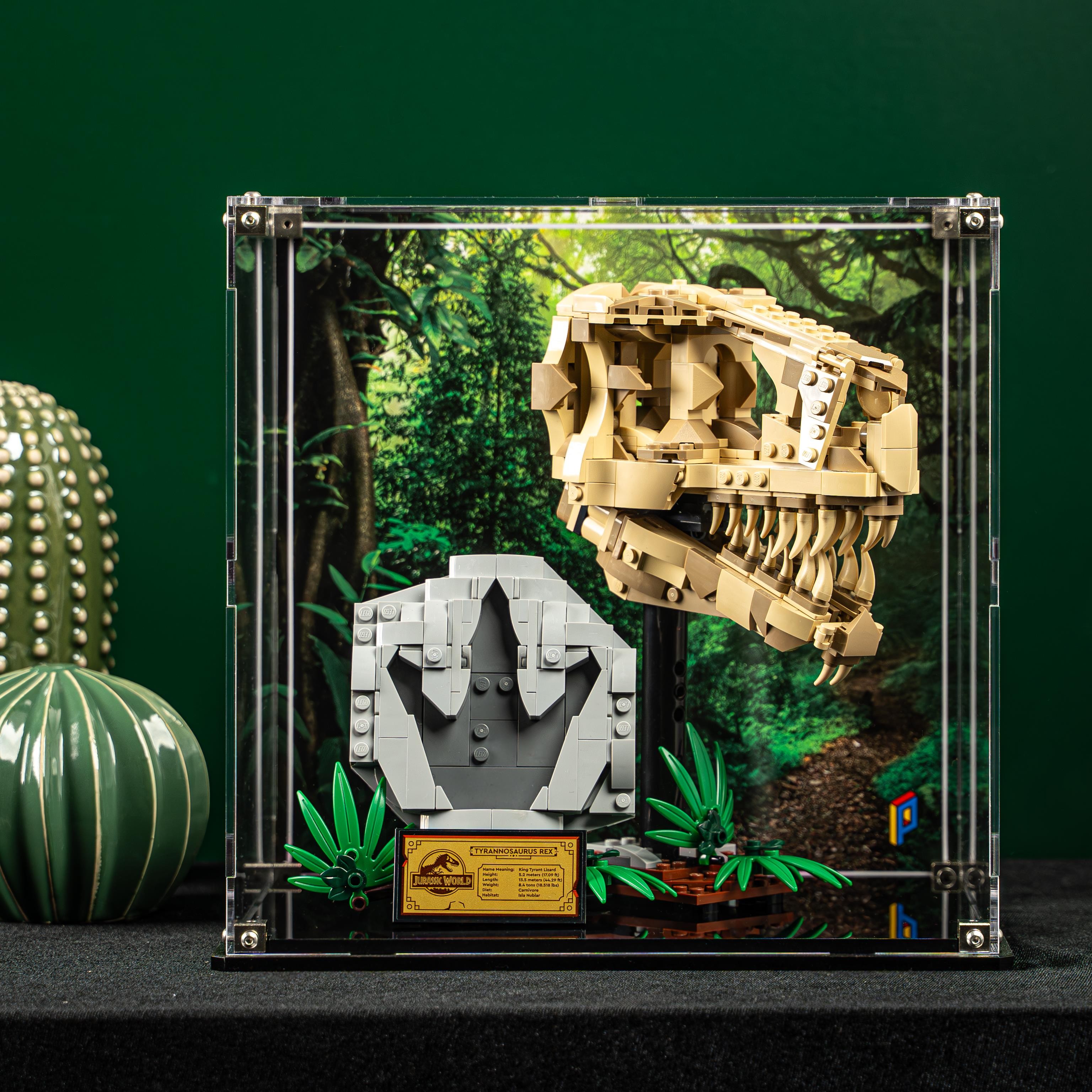 Display Case for LEGO® Jurassic World: Dinosaur Fossils: T. rex Skull (76964)