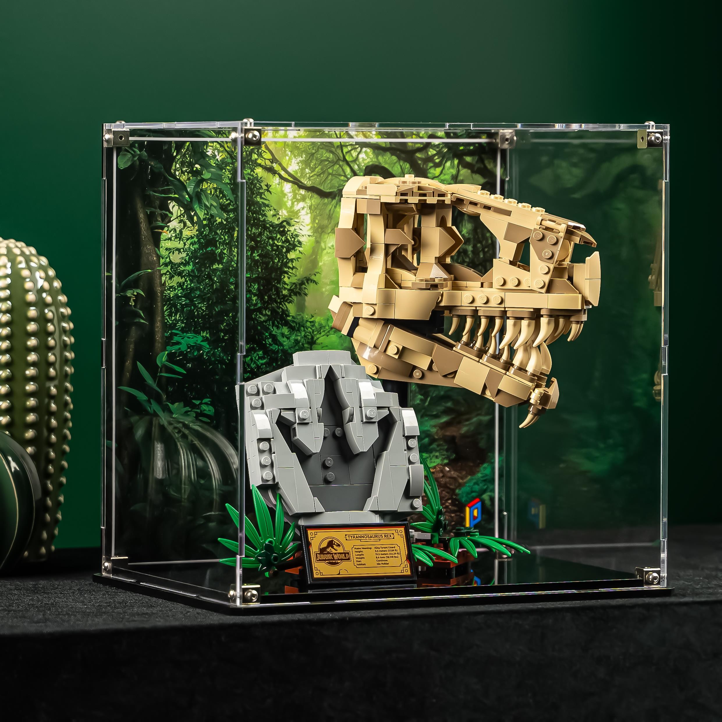 Display Case for LEGO® Jurassic World: Dinosaur Fossils: T. rex Skull (76964)