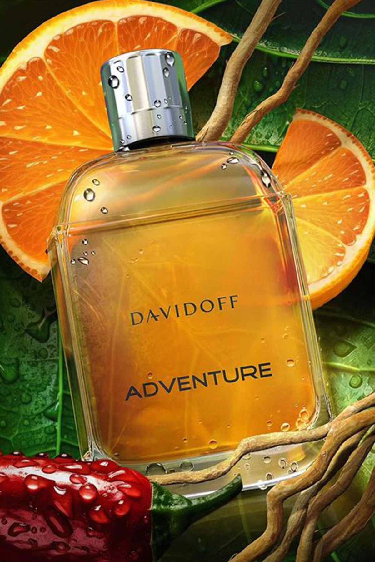 Davidoff Adventure For Him EDT 100 ml Erkek Parfüm