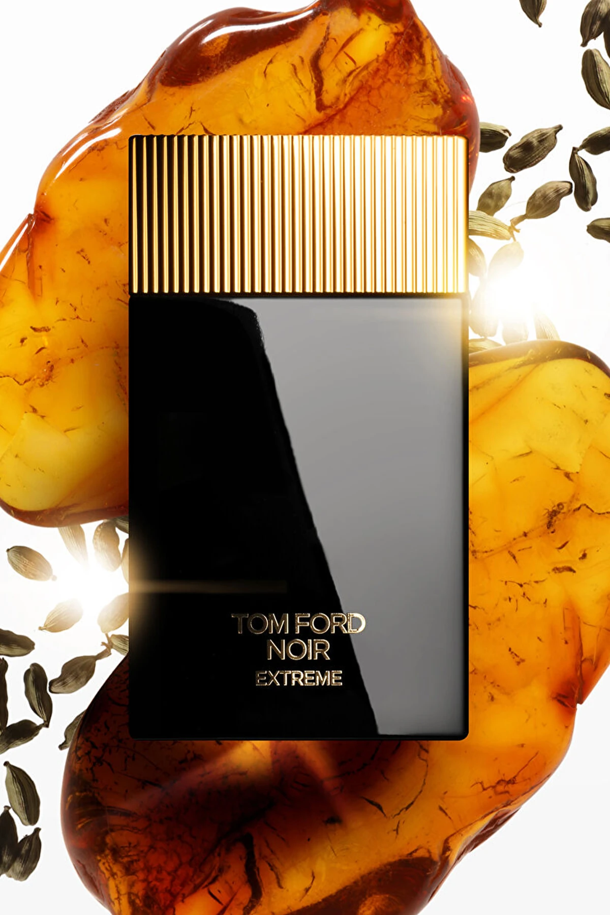 Tom Ford Noir Extreme EDP Erkek Parfüm