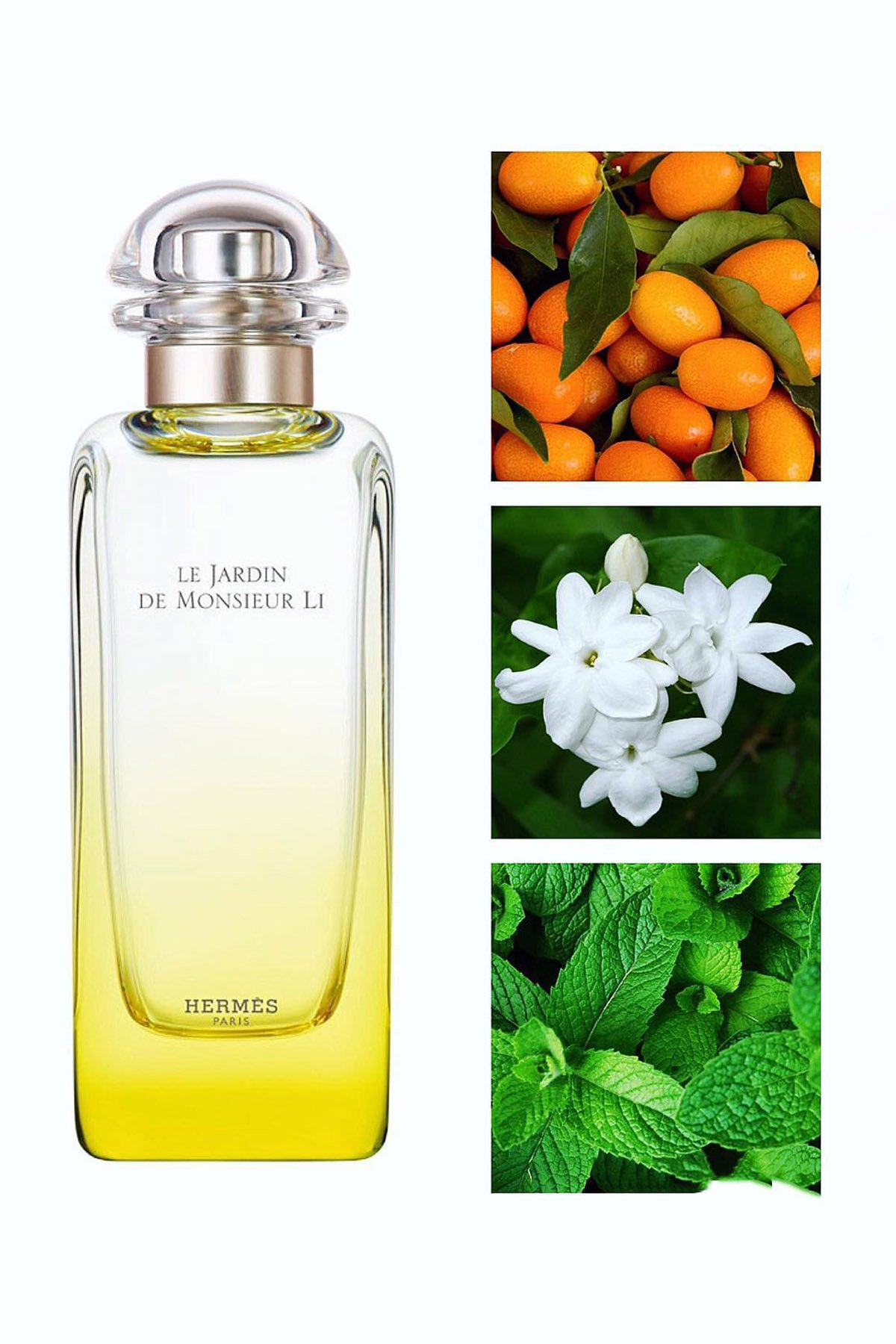 Hermes Le Jardin de Monsieur Li Eau de Toilette 100 ml Parfüm